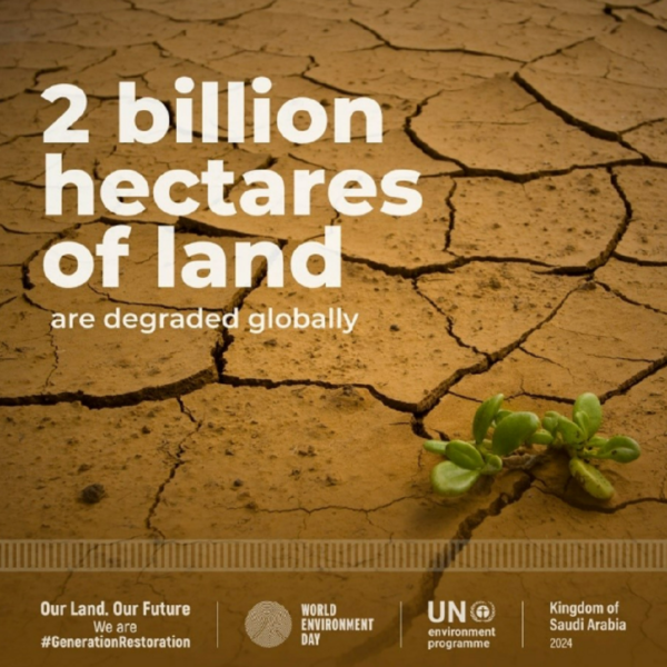 a poster image of emphasizing the message '2 billion hectares of land are degraded globally'