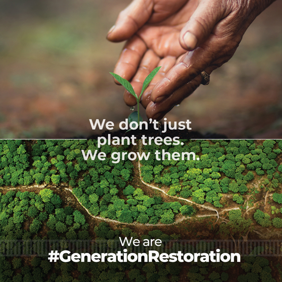 An image of World Environment Day's slogan “Our land. Our future. We are #GenerationRestoration