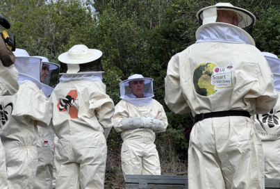 [World Environment Day with LG🌱] Inspiring a New Generation of Beekeepers: Living in Harmony With Bees